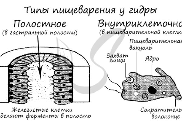 Как найти кракен шоп