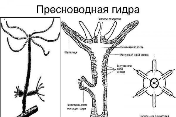 Как восстановить аккаунт на кракене